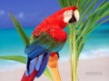 parrot photograph birds